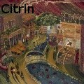 Ione Citrin -  - Water Color