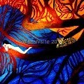 Starr  - tree witch-1st light of day - None