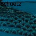 Tammy J Schuetz - Blue Symphony - Drawings