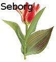 Gloria Fay Seborg -  - Paintings